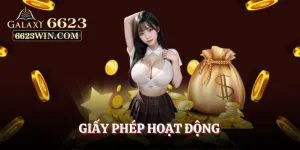 giay-phep-hoat-dong