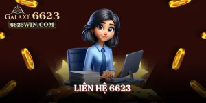 lien-he-6623